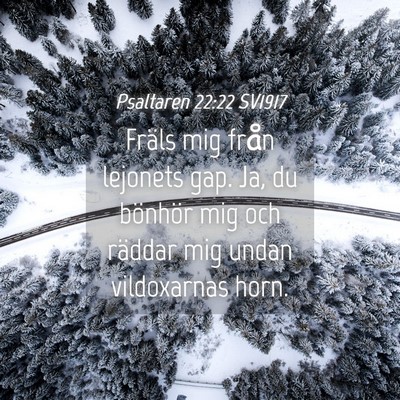 Picture 04 - Psaltaren 22:22 SV1917 - Fräls mig från lejonets gap. Ja, du bönhör - Bible Verse Picture