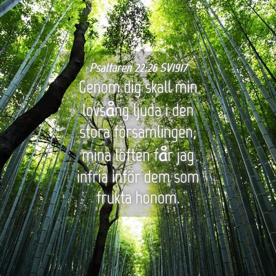 Picture 04 - Psaltaren 22:26 SV1917 - Genom dig skall min lovsång ljuda i den stora - Bible Verse Picture