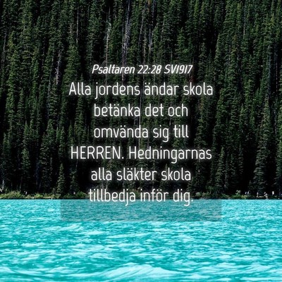 Picture 04 - Psaltaren 22:28 SV1917 - Alla jordens ändar skola betänka det och - Bible Verse Picture