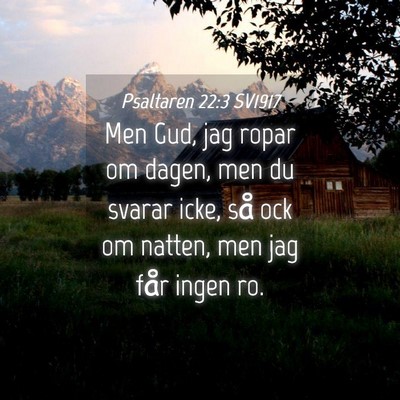 Picture 04 - Psaltaren 22:3 SV1917 - Men Gud, jag ropar om dagen, men du svarar icke, - Bible Verse Picture