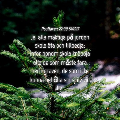 Picture 04 - Psaltaren 22:30 SV1917 - Ja, alla mäktiga på jorden skola äta och - Bible Verse Picture