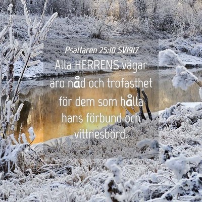 Picture 04 - Psaltaren 25:10 SV1917 - Alla HERRENS vägar äro nåd och trofasthet för - Bible Verse Picture