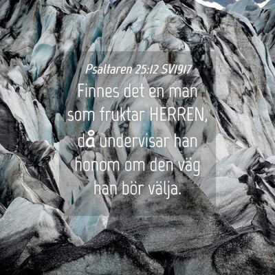 Picture 04 - Psaltaren 25:12 SV1917 - Finnes det en man som fruktar HERREN, då - Bible Verse Picture