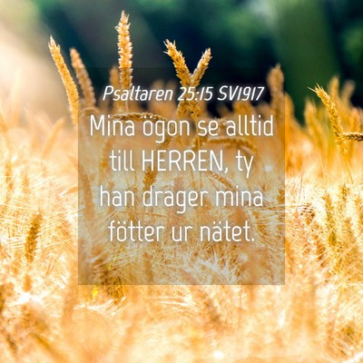 Picture 04 - Psaltaren 25:15 SV1917 - Mina ögon se alltid till HERREN, ty han drager - Bible Verse Picture
