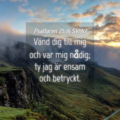 Picture 04 - Psaltaren 25:16 SV1917 - Vänd dig till mig och var mig nådig; ty jag är - Bible Verse Picture
