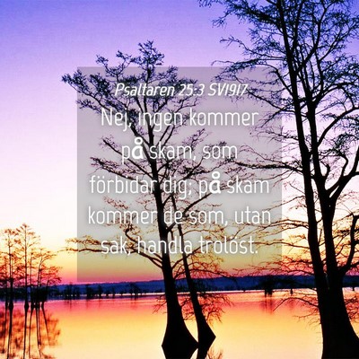 Picture 04 - Psaltaren 25:3 SV1917 - Nej, ingen kommer på skam, som förbidar dig; - Bible Verse Picture