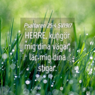 Picture 04 - Psaltaren 25:4 SV1917 - HERRE, kungör mig dina vägar, lär mig dina - Bible Verse Picture