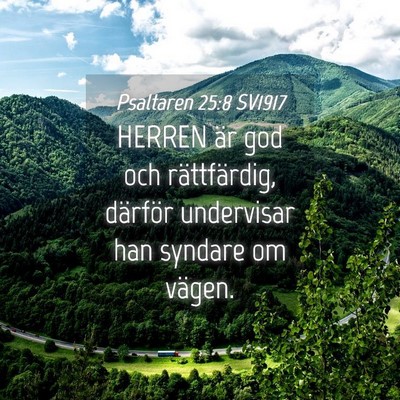 Picture 04 - Psaltaren 25:8 SV1917 - HERREN är god och rättfärdig, därför - Bible Verse Picture