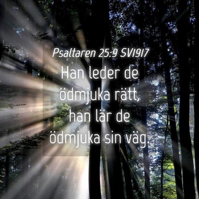 Picture 04 - Psaltaren 25:9 SV1917 - Han leder de ödmjuka rätt, han lär de ödmjuka - Bible Verse Picture