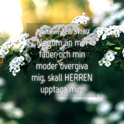 Picture 04 - Psaltaren 27:10 SV1917 - Nej, om än min fader och min moder övergiva - Bible Verse Picture