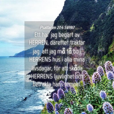 Picture 04 - Psaltaren 27:4 SV1917 - Ett har jag begärt av HERREN, därefter traktar - Bible Verse Picture