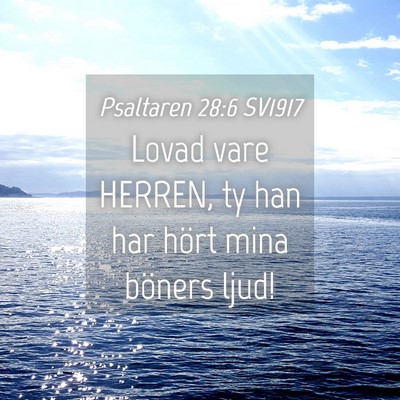 Picture 04 - Psaltaren 28:6 SV1917 - Lovad vare HERREN, ty han har hört mina böners - Bible Verse Picture