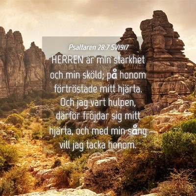 Picture 04 - Psaltaren 28:7 SV1917 - HERREN är min starkhet och min sköld; på honom - Bible Verse Picture