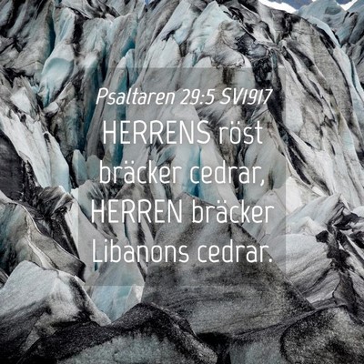 Picture 04 - Psaltaren 29:5 SV1917 - HERRENS röst bräcker cedrar, HERREN bräcker - Bible Verse Picture