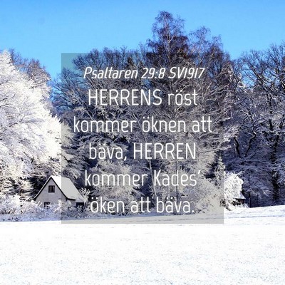 Picture 04 - Psaltaren 29:8 SV1917 - HERRENS röst kommer öknen att bäva, HERREN - Bible Verse Picture