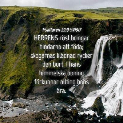 Picture 04 - Psaltaren 29:9 SV1917 - HERRENS röst bringar hindarna att föda; - Bible Verse Picture