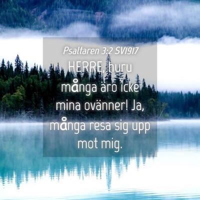 Picture 04 - Psaltaren 3:2 SV1917 - HERRE, huru många äro icke mina ovänner! Ja, - Bible Verse Picture