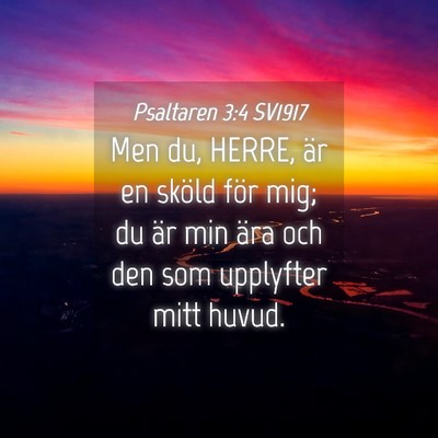 Picture 04 - Psaltaren 3:4 SV1917 - Men du, HERRE, är en sköld för mig; du är min - Bible Verse Picture