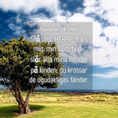 Picture 04 - Psaltaren 3:8 SV1917 - Stå upp, HERRE, fräls mig, min Gud; ty du slår - Bible Verse Picture
