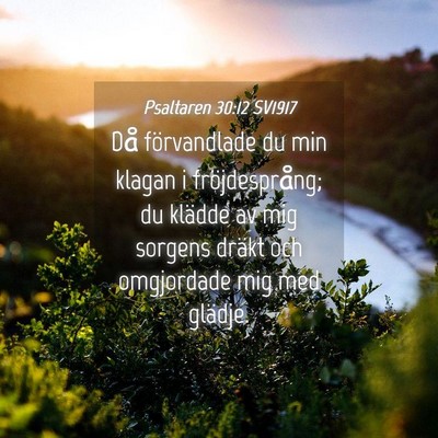 Picture 04 - Psaltaren 30:12 SV1917 - Då förvandlade du min klagan i fröjdesprång; - Bible Verse Picture