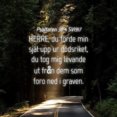 Picture 04 - Psaltaren 30:4 SV1917 - HERRE, du förde min själ upp ur dödsriket, du - Bible Verse Picture