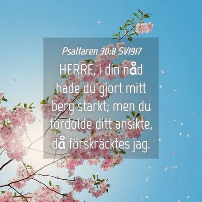 Picture 04 - Psaltaren 30:8 SV1917 - HERRE, i din nåd hade du gjort mitt berg starkt; - Bible Verse Picture