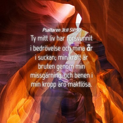 Picture 04 - Psaltaren 31:11 SV1917 - Ty mitt liv har försvunnit i bedrövelse och - Bible Verse Picture