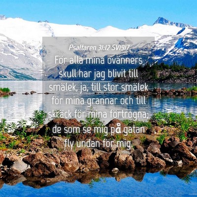 Picture 04 - Psaltaren 31:12 SV1917 - För alla mina ovänners skull har jag blivit - Bible Verse Picture