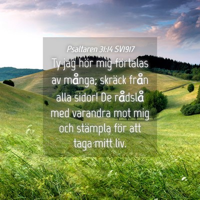 Picture 04 - Psaltaren 31:14 SV1917 - Ty jag hör mig förtalas av många; skräck - Bible Verse Picture
