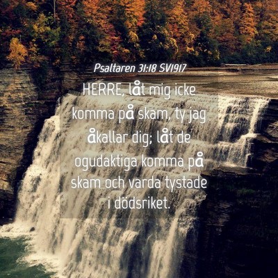 Picture 04 - Psaltaren 31:18 SV1917 - HERRE, låt mig icke komma på skam, ty jag - Bible Verse Picture