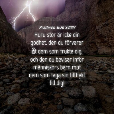 Picture 04 - Psaltaren 31:20 SV1917 - Huru stor är icke din godhet, den du förvarar - Bible Verse Picture