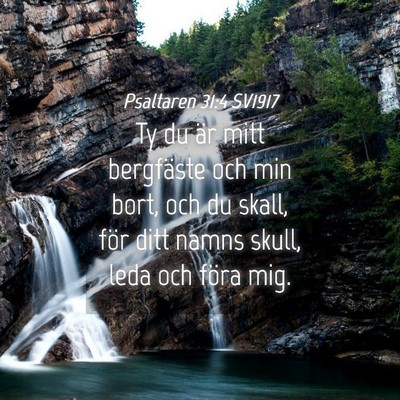Picture 04 - Psaltaren 31:4 SV1917 - Ty du är mitt bergfäste och min bort, och du - Bible Verse Picture