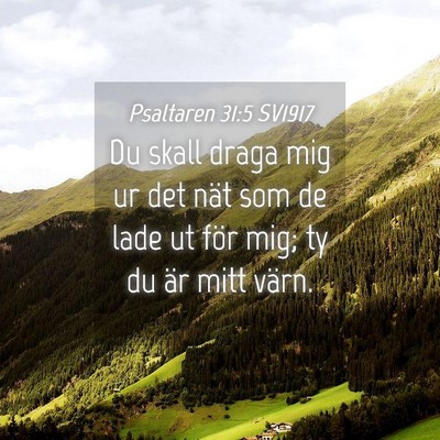 Picture 04 - Psaltaren 31:5 SV1917 - Du skall draga mig ur det nät som de lade ut - Bible Verse Picture