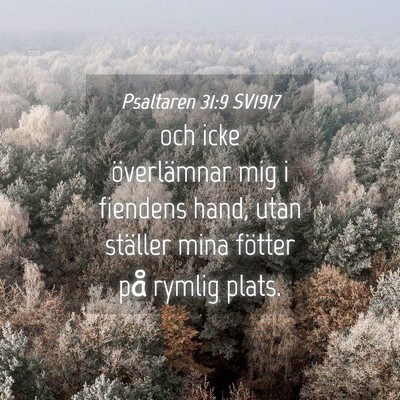 Picture 04 - Psaltaren 31:9 SV1917 - och icke överlämnar mig i fiendens hand, utan - Bible Verse Picture