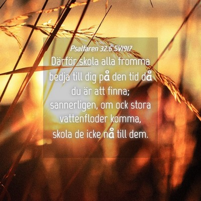 Picture 04 - Psaltaren 32:6 SV1917 - Därför skola alla fromma bedja till dig på den - Bible Verse Picture
