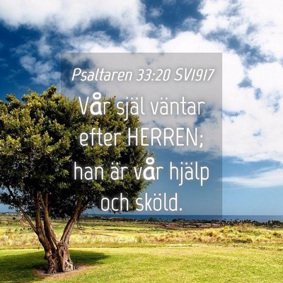 Picture 04 - Psaltaren 33:20 SV1917 - Vår själ väntar efter HERREN; han är vår - Bible Verse Picture