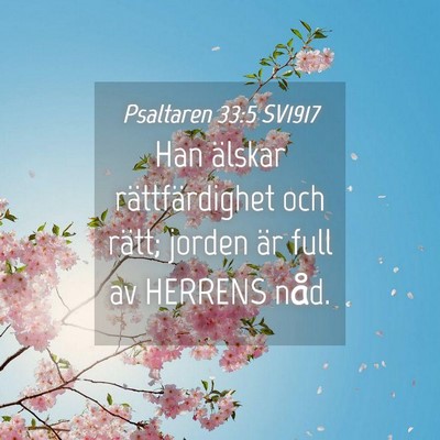 Picture 04 - Psaltaren 33:5 SV1917 - Han älskar rättfärdighet och rätt; jorden är - Bible Verse Picture