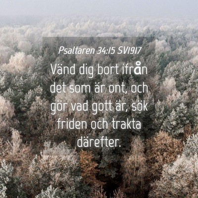 Picture 04 - Psaltaren 34:15 SV1917 - Vänd dig bort ifrån det som är ont, och gör - Bible Verse Picture