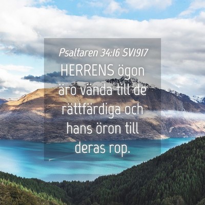 Picture 04 - Psaltaren 34:16 SV1917 - HERRENS ögon äro vända till de rättfärdiga - Bible Verse Picture