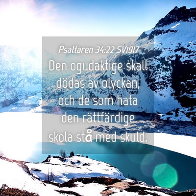 Picture 04 - Psaltaren 34:22 SV1917 - Den ogudaktige skall dödas av olyckan, och de - Bible Verse Picture