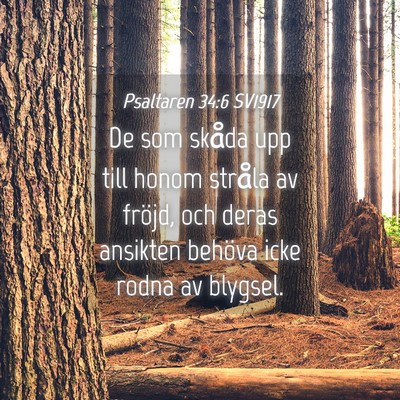 Picture 04 - Psaltaren 34:6 SV1917 - De som skåda upp till honom stråla av fröjd, - Bible Verse Picture