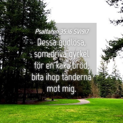 Picture 04 - Psaltaren 35:16 SV1917 - Dessa gudlösa, som driva gyckel för en kaka - Bible Verse Picture