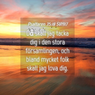Picture 04 - Psaltaren 35:18 SV1917 - Då skall jag tacka dig i den stora - Bible Verse Picture
