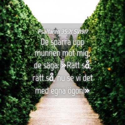 Picture 04 - Psaltaren 35:21 SV1917 - De spärra upp munnen mot mig; de säga: »Rätt - Bible Verse Picture