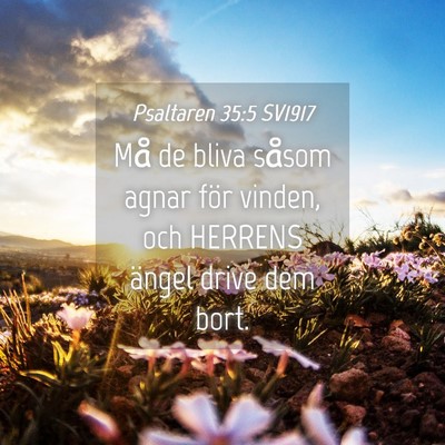 Picture 04 - Psaltaren 35:5 SV1917 - Må de bliva såsom agnar för vinden, och - Bible Verse Picture