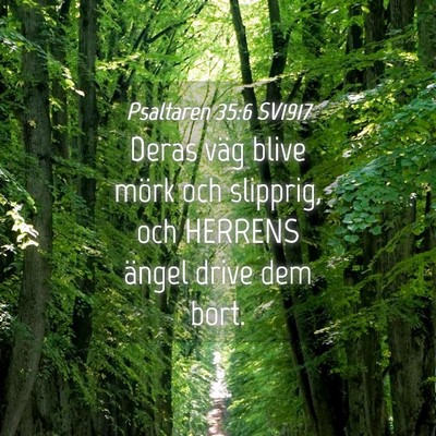Picture 04 - Psaltaren 35:6 SV1917 - Deras väg blive mörk och slipprig, och HERRENS - Bible Verse Picture