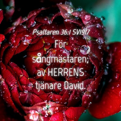 Picture 04 - Psaltaren 36:1 SV1917 - För sångmästaren; av HERRENS tjänare - Bible Verse Picture