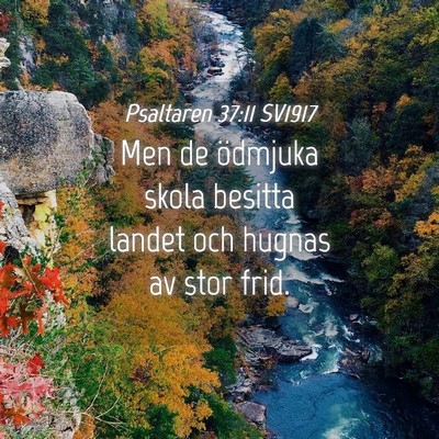 Picture 04 - Psaltaren 37:11 SV1917 - Men de ödmjuka skola besitta landet och hugnas - Bible Verse Picture