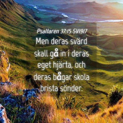 Picture 04 - Psaltaren 37:15 SV1917 - Men deras svärd skall gå in i deras eget - Bible Verse Picture