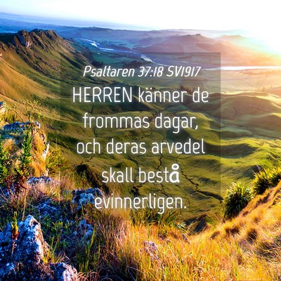 Picture 04 - Psaltaren 37:18 SV1917 - HERREN känner de frommas dagar, och deras - Bible Verse Picture